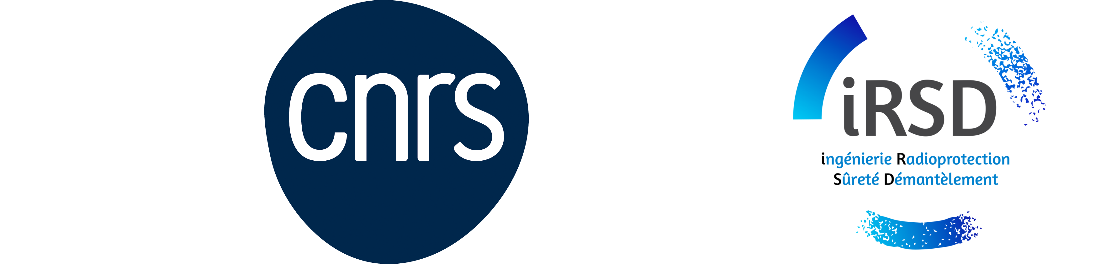Logo CNRS et iRSD